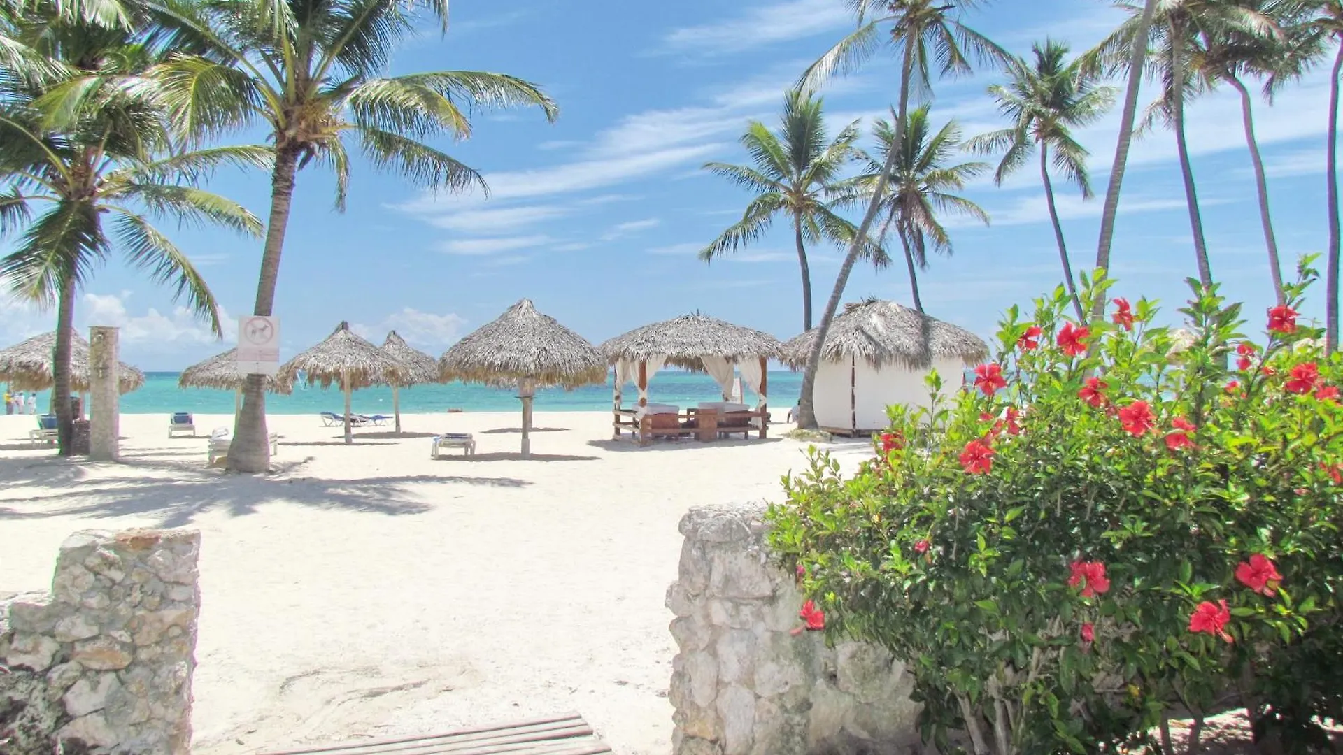 Ducassi Studios And Suites - Rooftop Pool, Beach Club, Breakfast And Wifi Punta Cana Den Dominikanske Republik