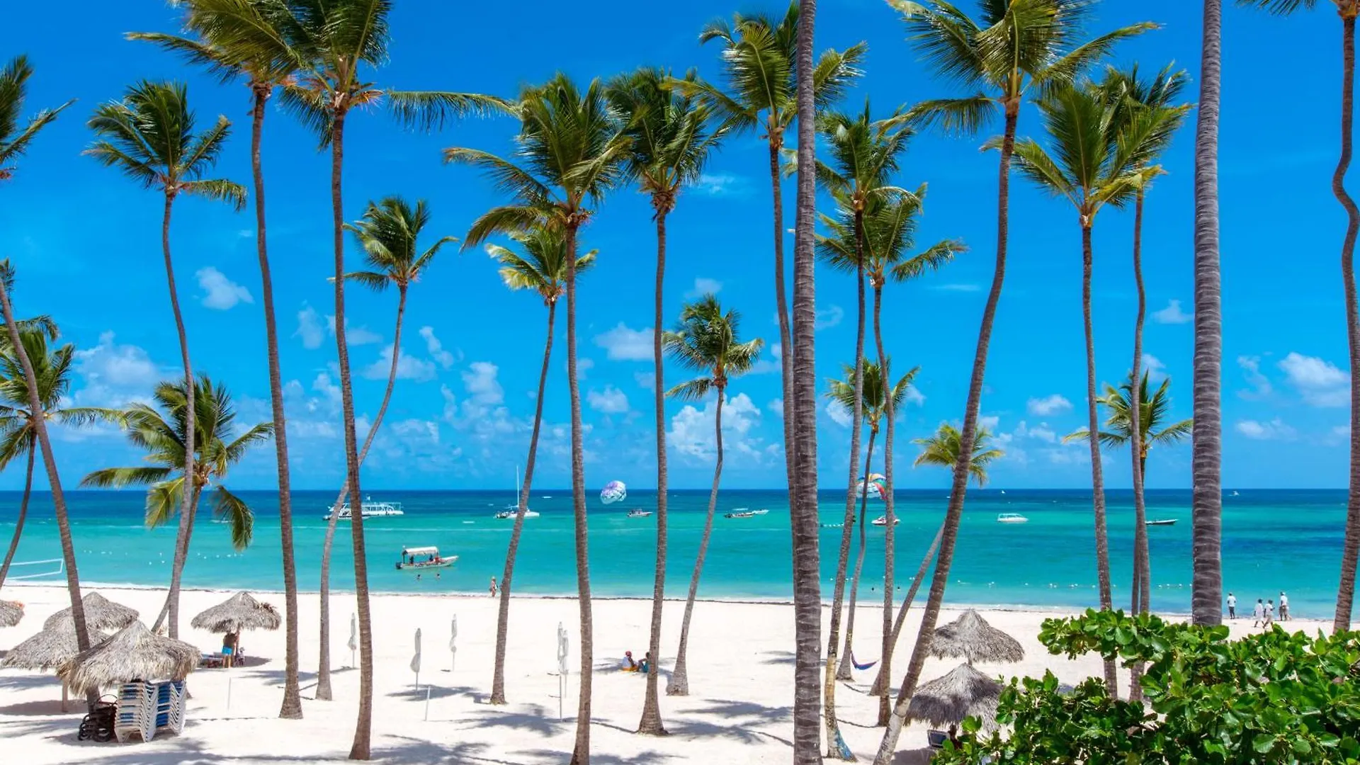 ***** Lejlighedshotel Ducassi Studios And Suites - Rooftop Pool, Beach Club, Breakfast And Wifi Punta Cana Den Dominikanske Republik